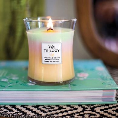 Ароматическая свеча с трехслойным ароматом Woodwick Medium Trilogy Summer Sweets 275 г