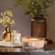 Ароматическая свеча с ароматом иланг-иланга и туберозы Woodwick Medium Solar Ylang 275 г